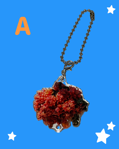 つながる「ほやキーホルダー」