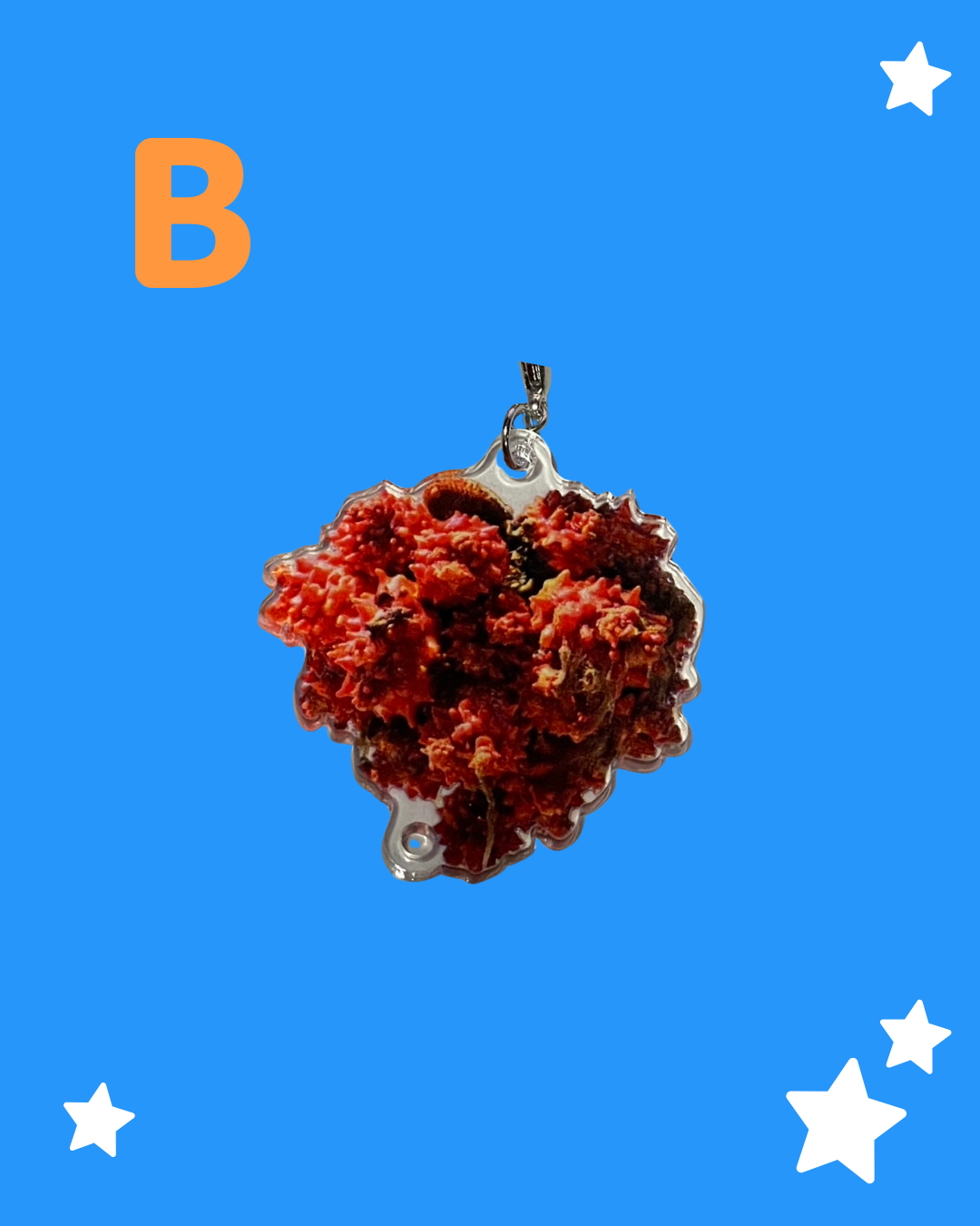 つながる「ほやキーホルダー」